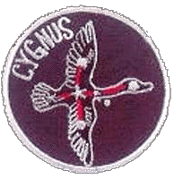 Cygnus Patch