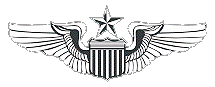 Air Force Senior Pilot Wings